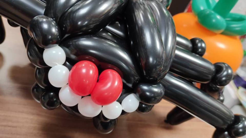 IMG_20251029_125548_original_copy_1