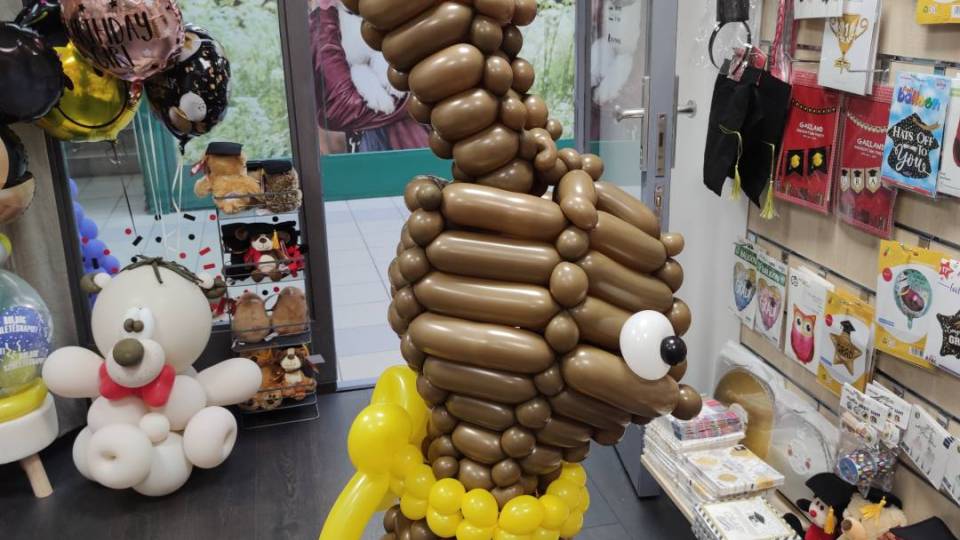 IMG_20250312_151248_original